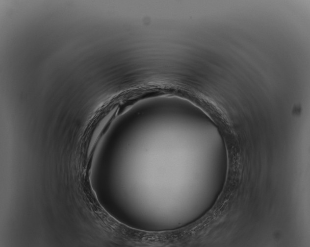 X0000097970776200804011719