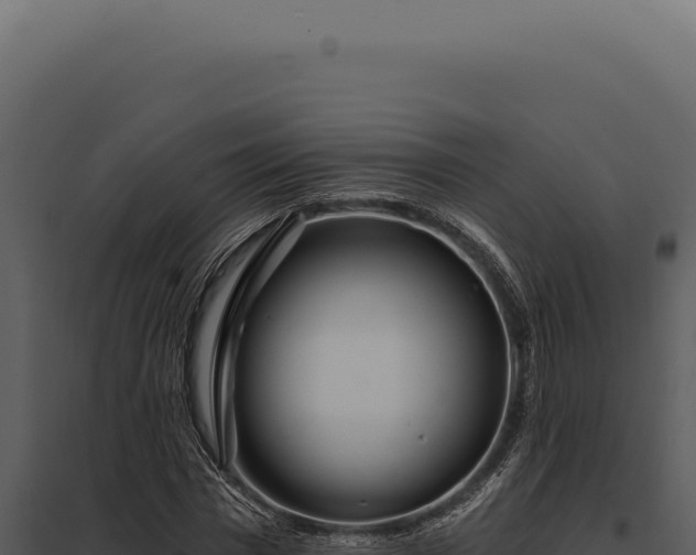 X0000097970777200804011719