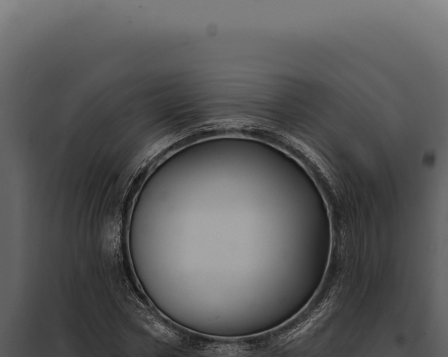 X0000097970778200804011719