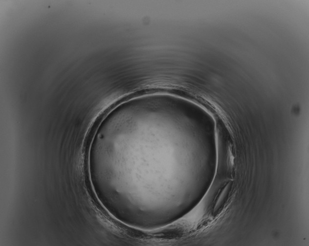 X0000097970779200804011719