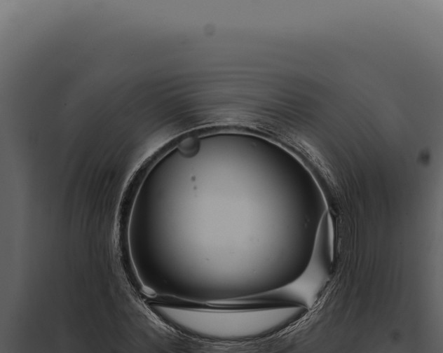 X0000097970780200804011719