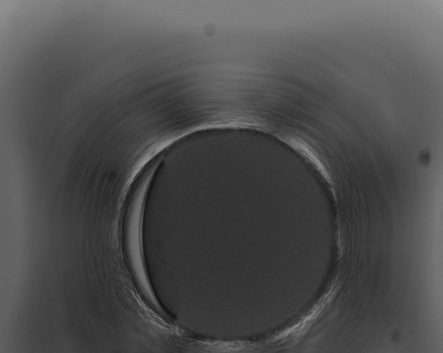 X0000097970781200804011719