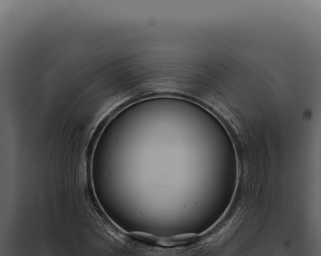 X0000097970782200804011719