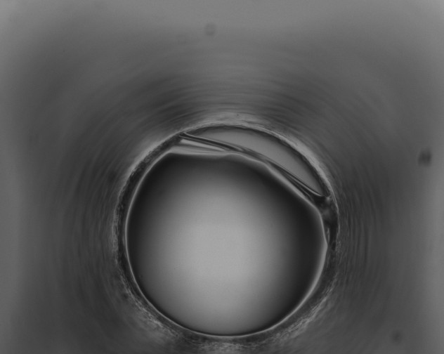 X0000097970783200804011719