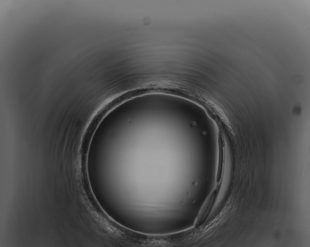 X0000097970784200804011719