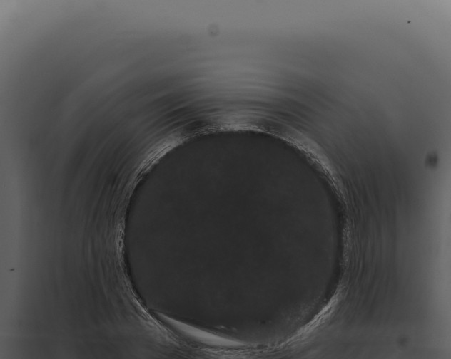 X0000097970785200804011719