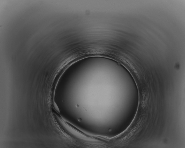 X0000097970786200804011719