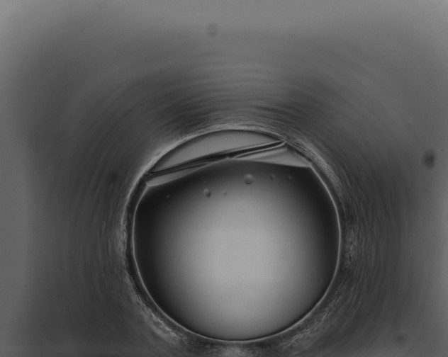 X0000097970787200804011719