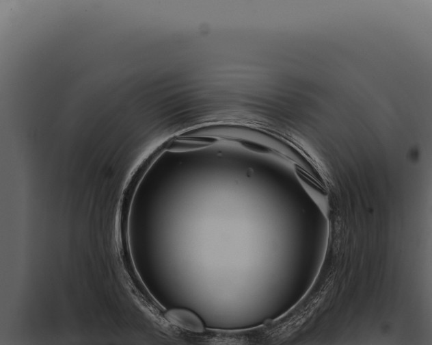 X0000097970788200804011719