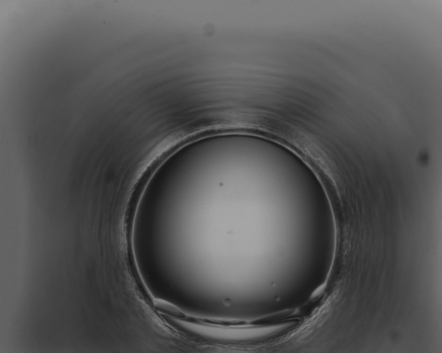 X0000097970789200804011719