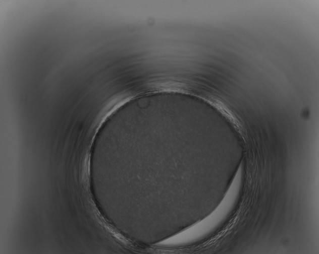 X0000097970790200804011719