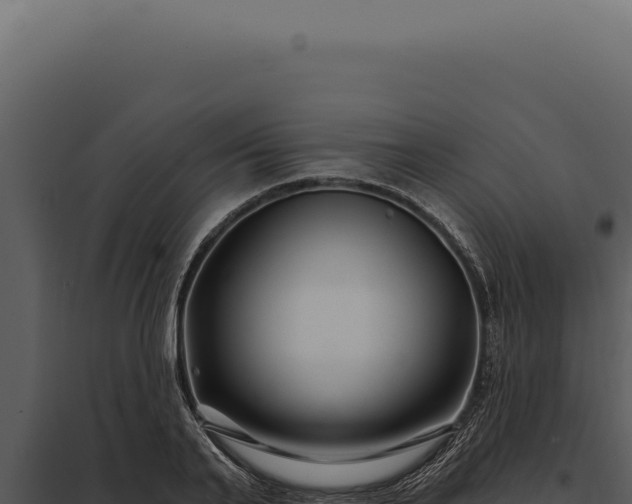 X0000097970791200804011719