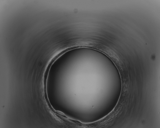 X0000097970792200804011719