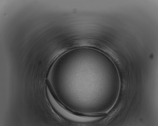 X0000097970793200804011719