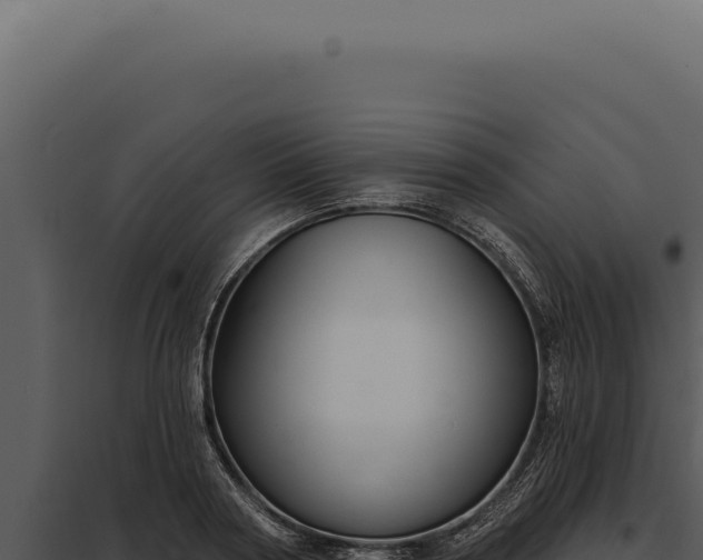 X0000097970794200804011719