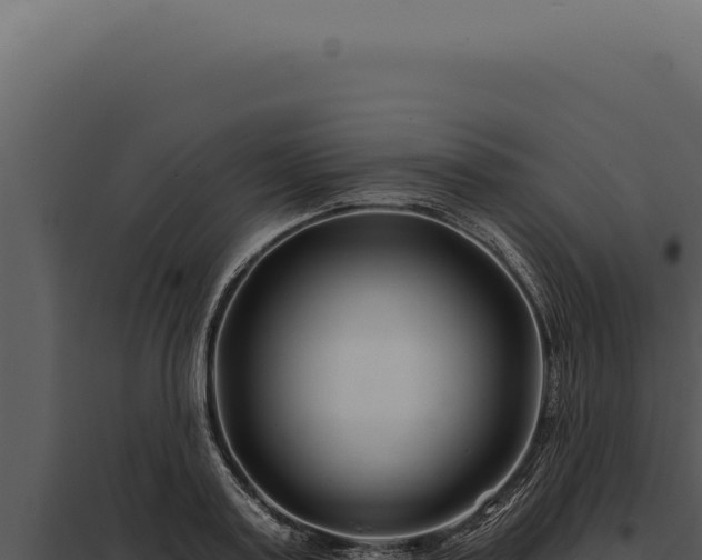 X0000097970795200804011719