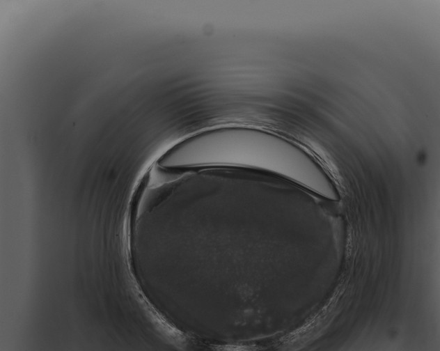 X0000097970796200804011719