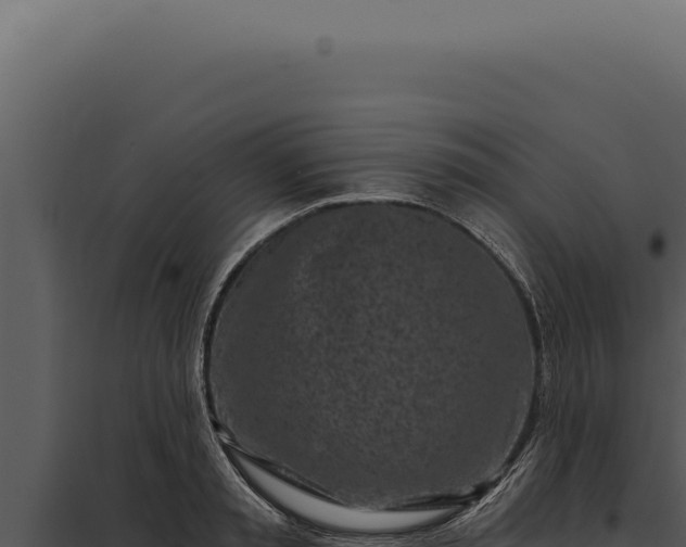 X0000097970797200804011719