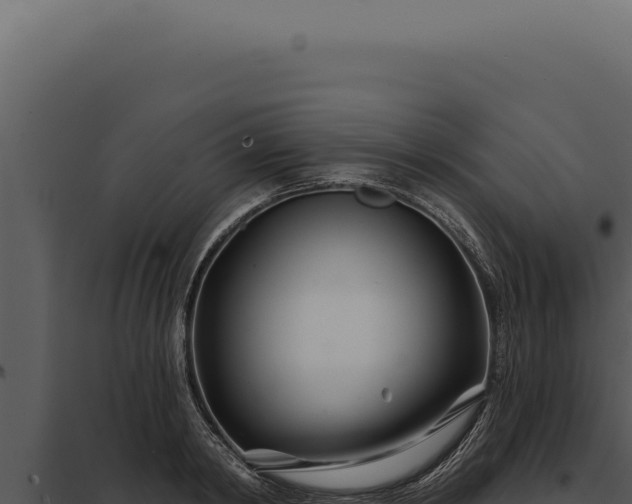 X0000097970798200804011719