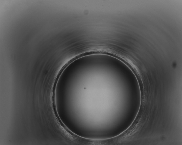 X0000097970799200804011719