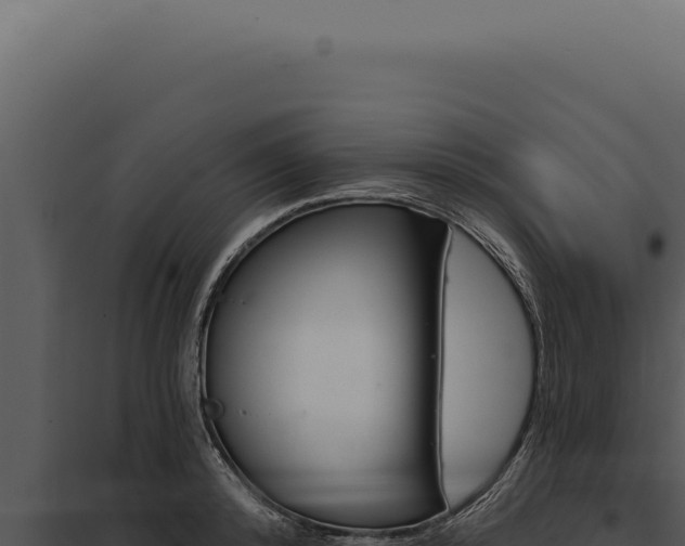 X0000097970800200804011719