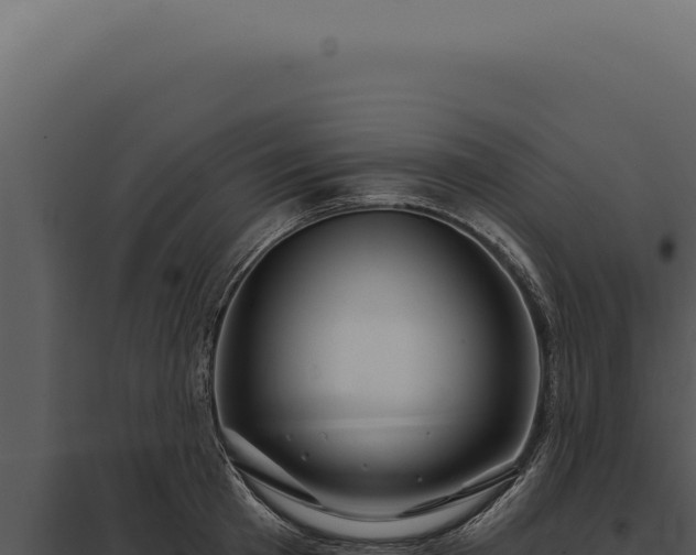 X0000097970801200804011719