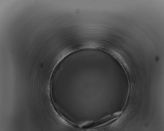 X0000097970802200804011719