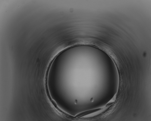 X0000097970803200804011719