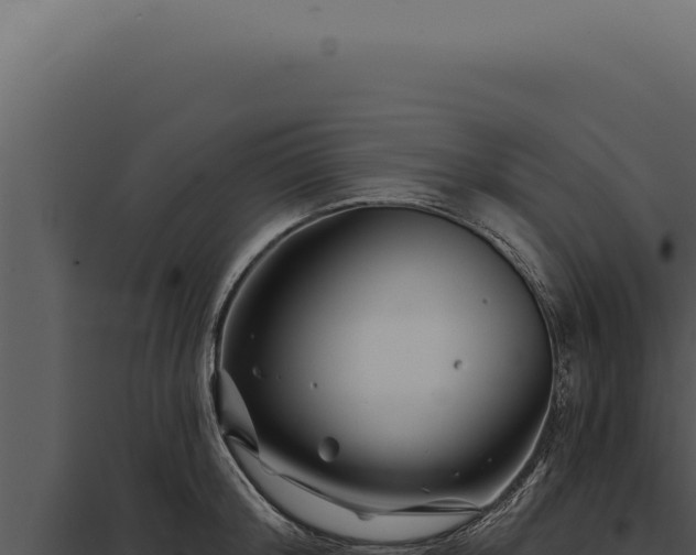 X0000097970804200804011719