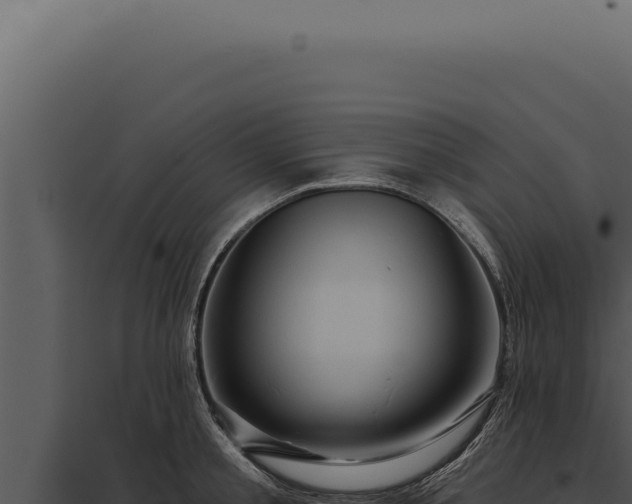 X0000097970805200804011719