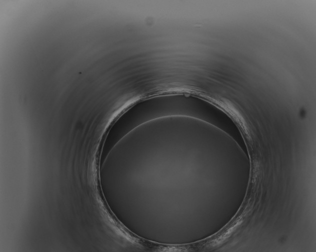 X0000097970806200804011719