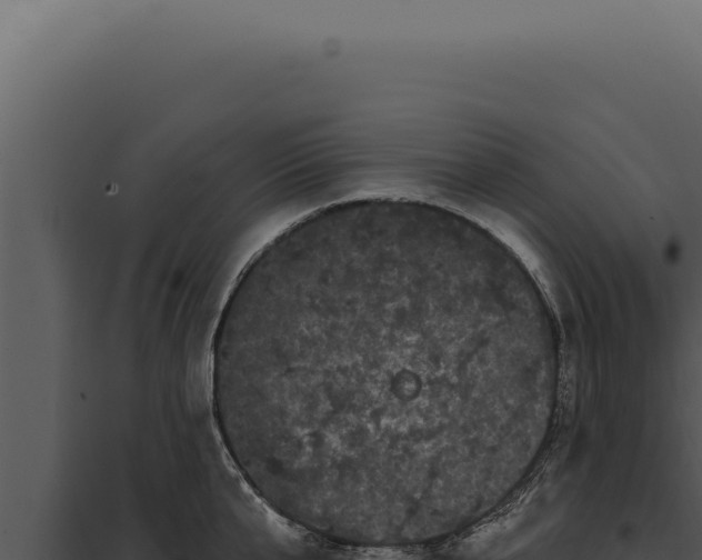 X0000097970807200804011719