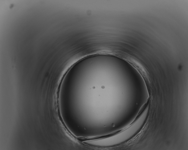 X0000097970808200804011719