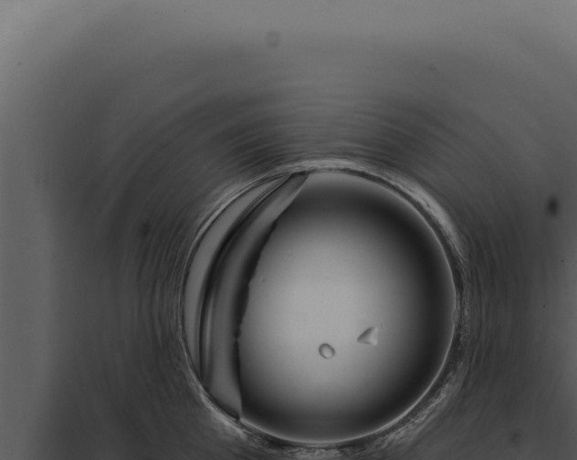 X0000097970809200804011719