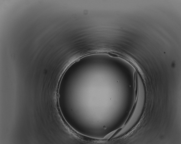 X0000097970810200804011719