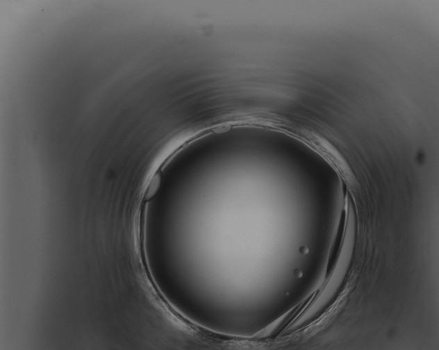 X0000097970812200804011719