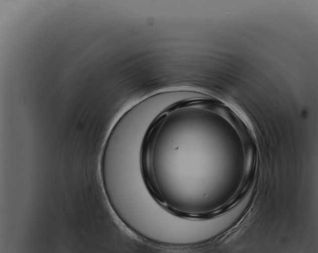 X0000097970813200804011719