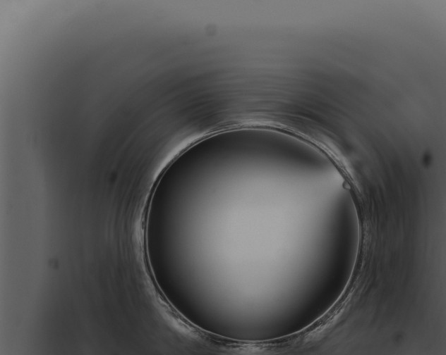 X0000097970814200804011719