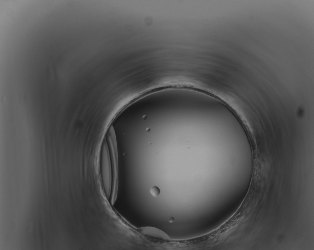 X0000097970815200804011719