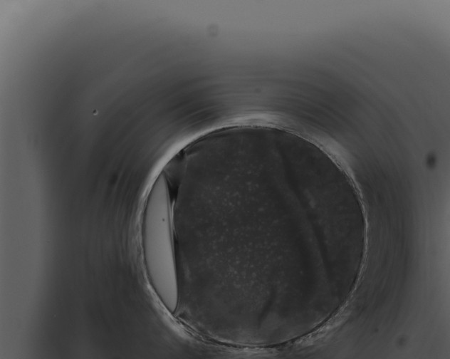 X0000097970816200804011719