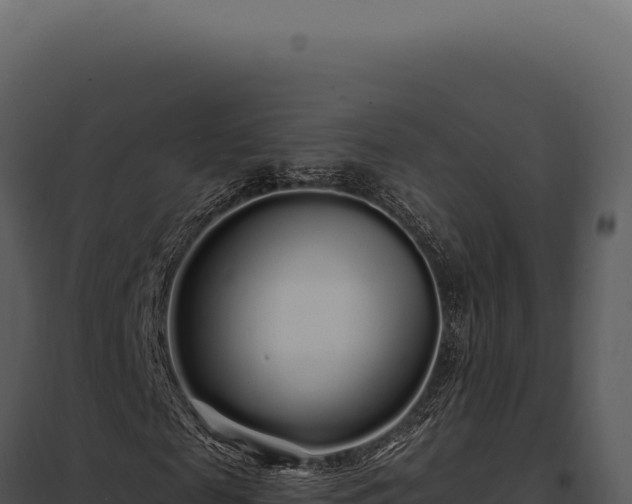 X0000097970817200804011718