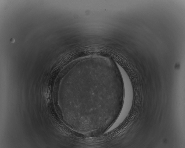 X0000097970818200804011718