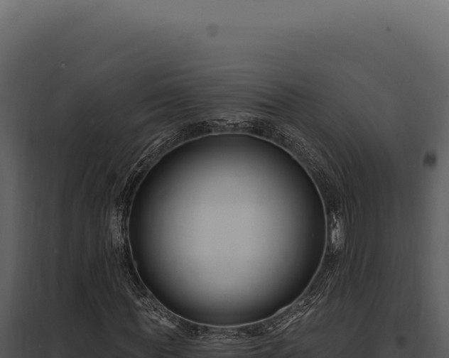 X0000097970819200804011718