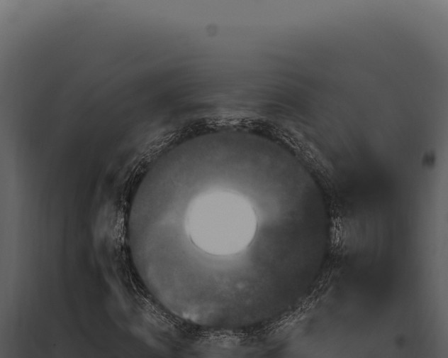 X0000097970820200804011718