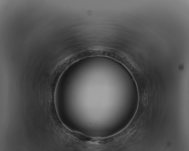 X0000097970821200804011718