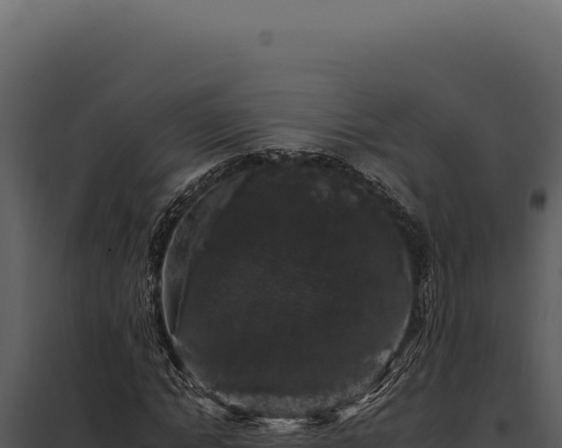 X0000097970822200804011718