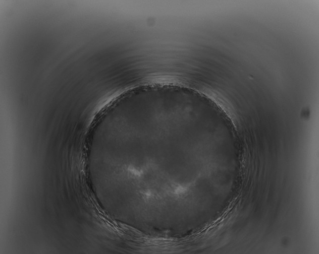 X0000097970823200804011718