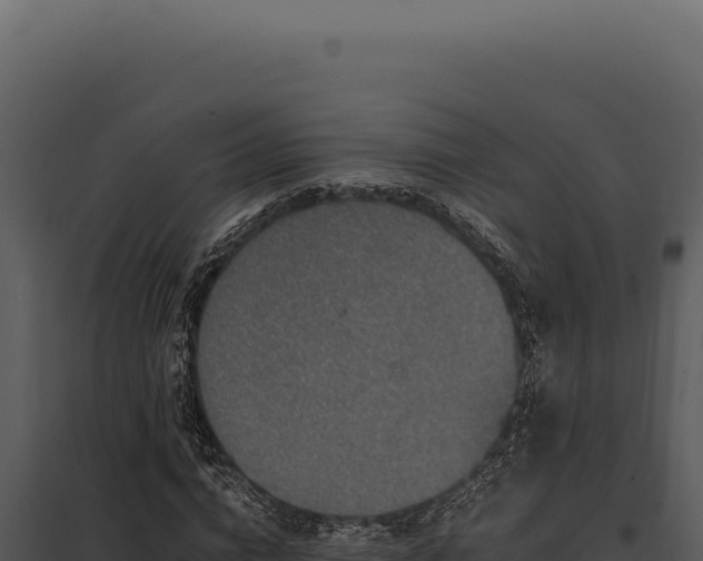 X0000097970824200804011718