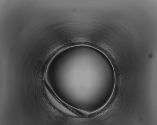 X0000097970825200804011718