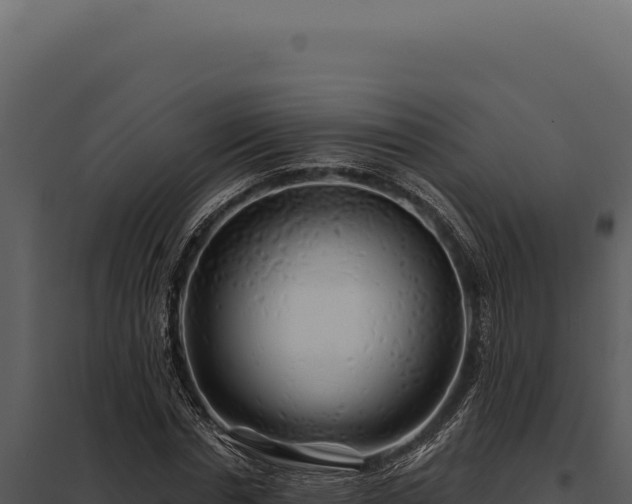 X0000097970826200804011718